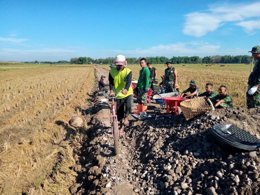 WhatsApp Image 2021-06-17 at 13.14.23