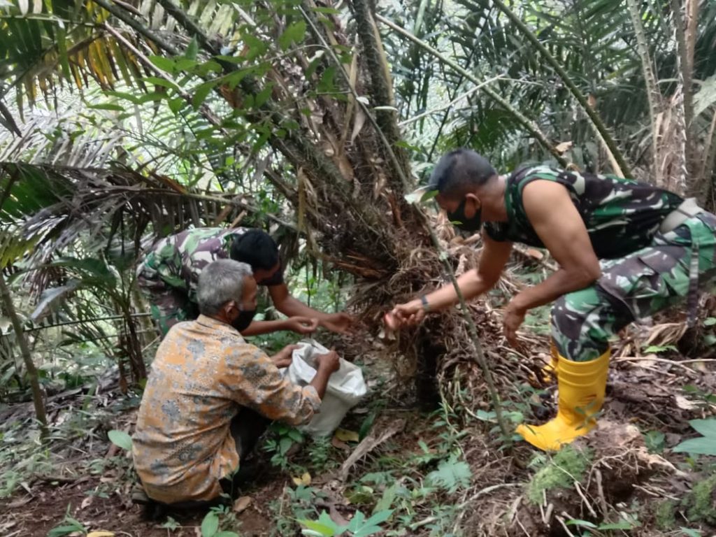 WhatsApp Image 2021-06-18 at 09.19.49