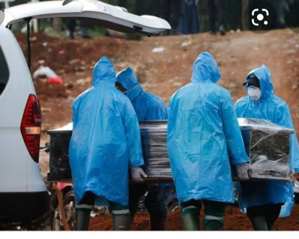 WhatsApp Image 2021-06-18 at 18.05.04