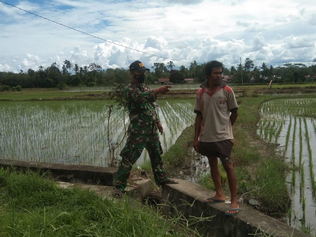 WhatsApp Image 2021-06-19 at 07.17.57(1)