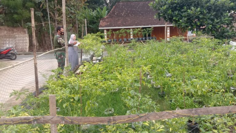 WhatsApp Image 2021-06-19 at 14.07.16(4)