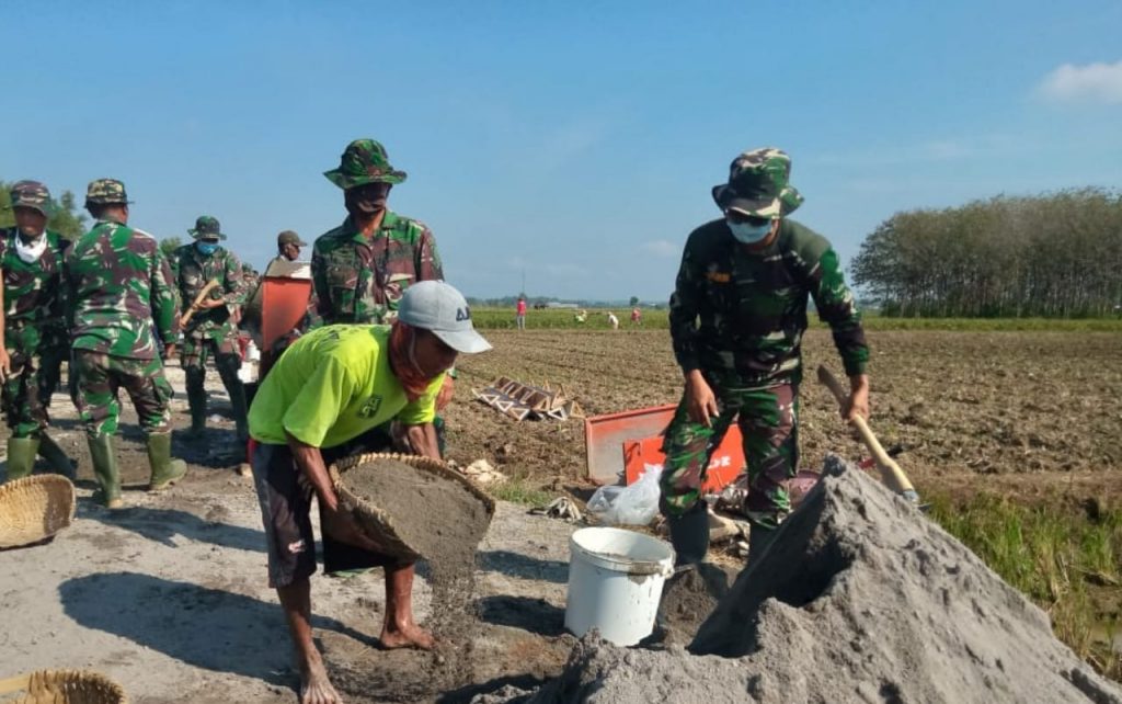 WhatsApp Image 2021-06-19 at 14.07.47(3)