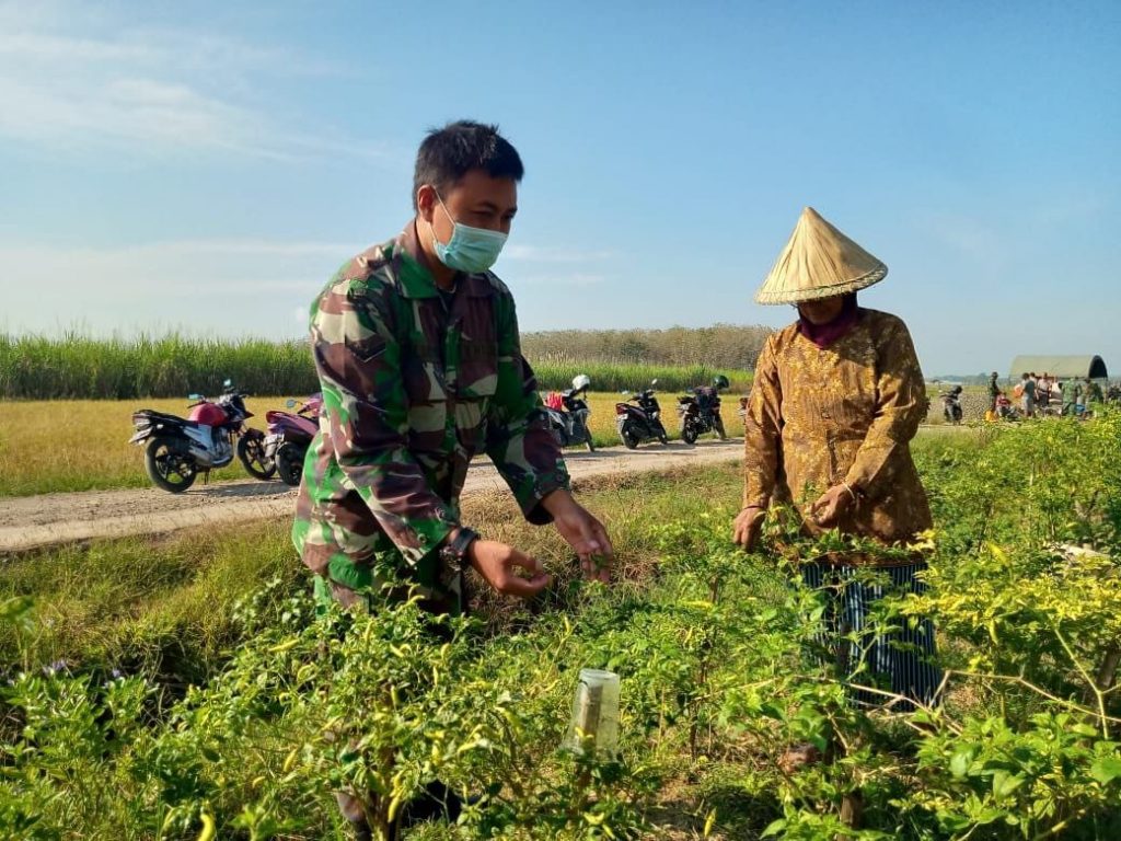 WhatsApp Image 2021-06-19 at 14.07.50(3)