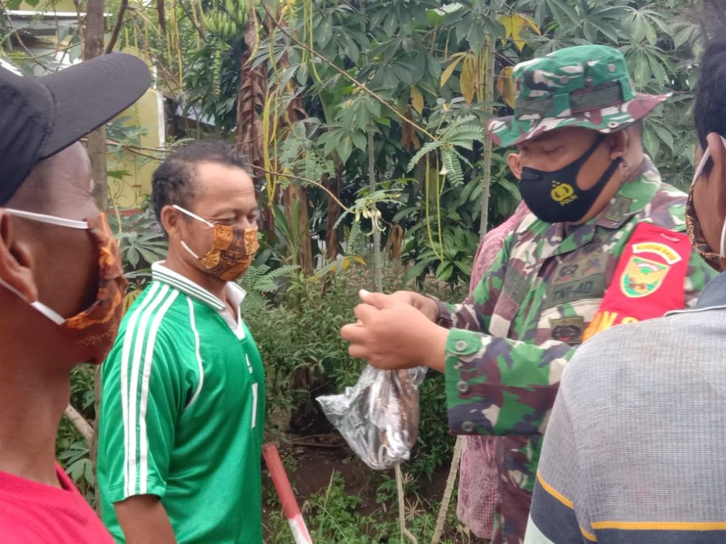 WhatsApp Image 2021-06-19 at 18.56.39