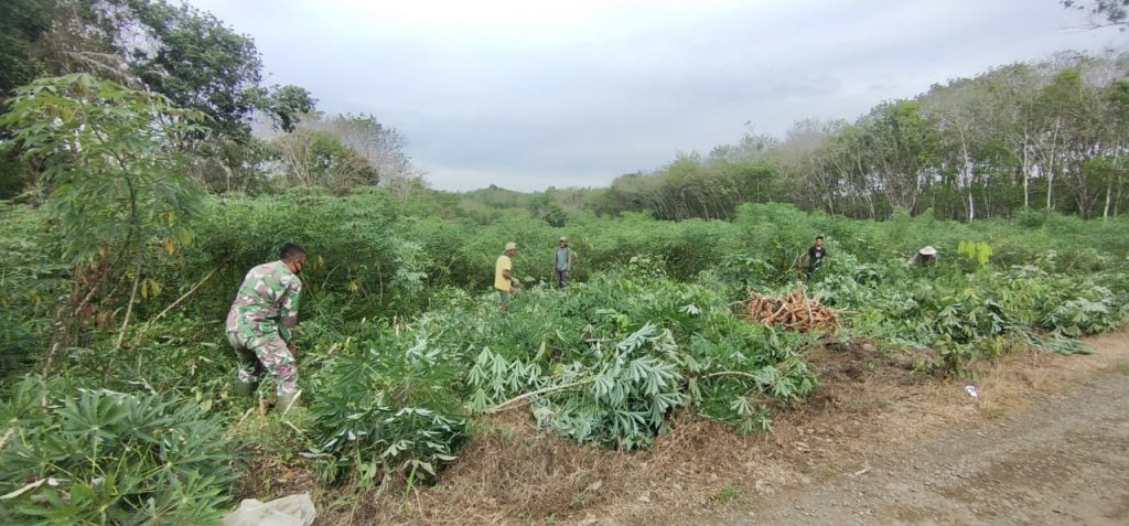 WhatsApp Image 2021-06-20 at 00.12.04