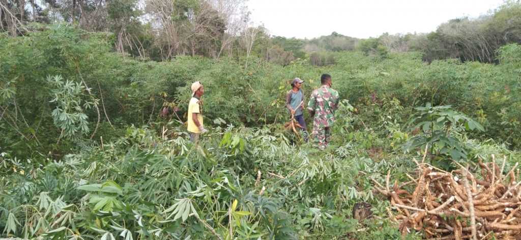 WhatsApp Image 2021-06-20 at 00.13.16