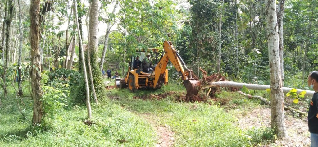 WhatsApp Image 2021-06-20 at 00.14.54