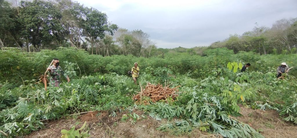 WhatsApp Image 2021-06-20 at 00.15.53