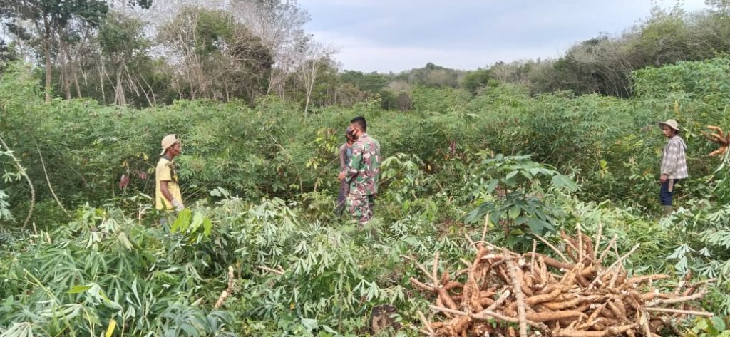 WhatsApp Image 2021-06-20 at 00.17.26