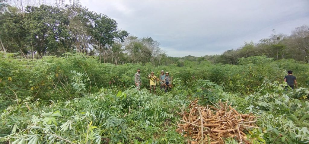 WhatsApp Image 2021-06-20 at 00.18.03