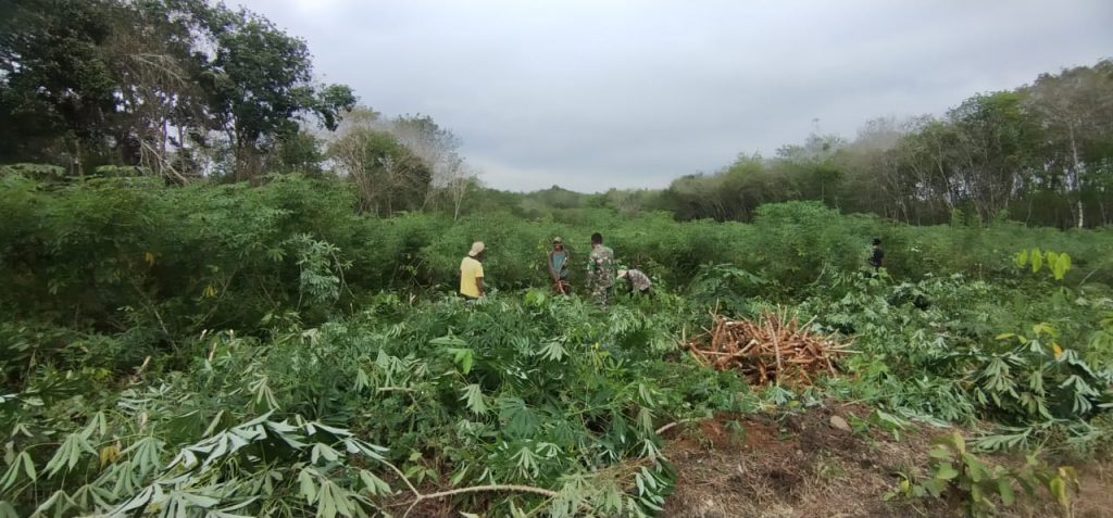 WhatsApp Image 2021-06-20 at 00.18.36