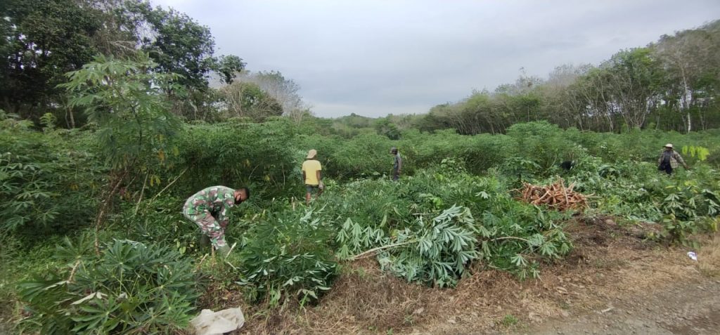 WhatsApp Image 2021-06-20 at 00.19.00