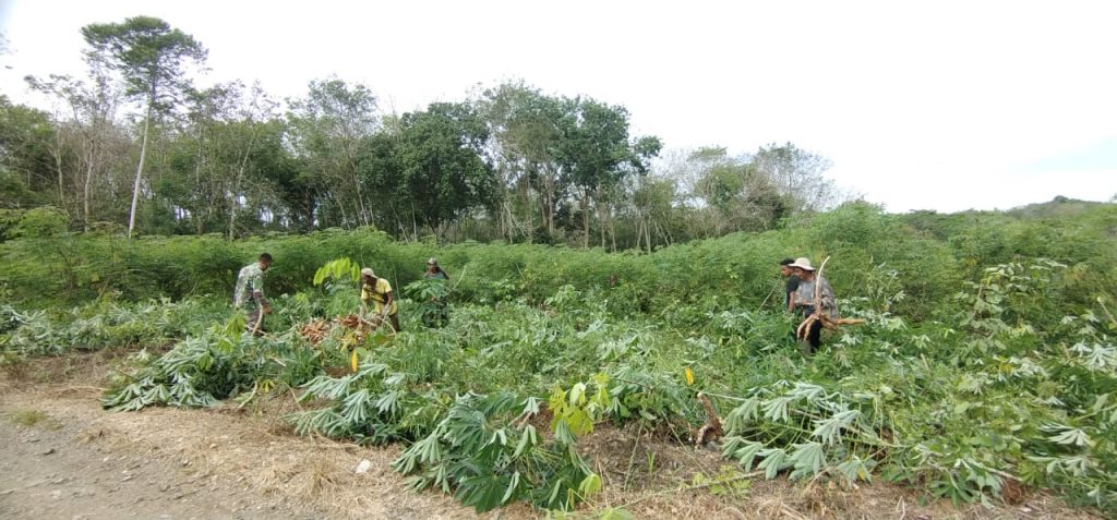 WhatsApp Image 2021-06-20 at 00.19.13