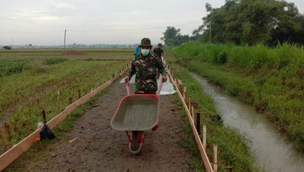 WhatsApp Image 2021-06-20 at 16.33.11