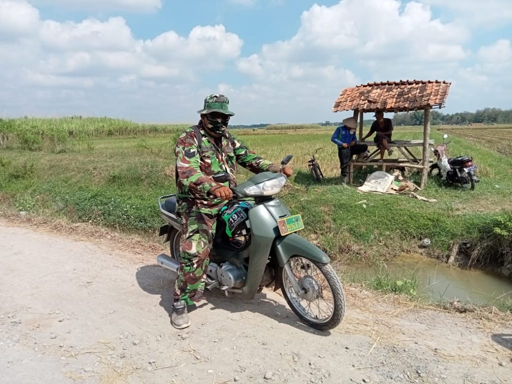 WhatsApp Image 2021-06-20 at 16.34.38