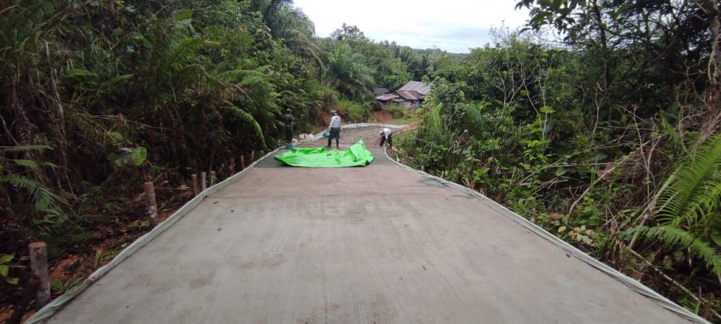 WhatsApp Image 2021-06-21 at 01.28.59