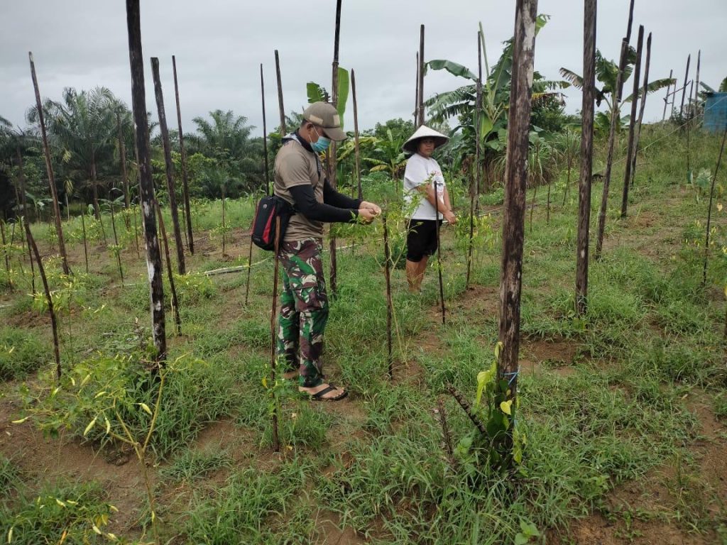 WhatsApp Image 2021-06-21 at 01.29.04