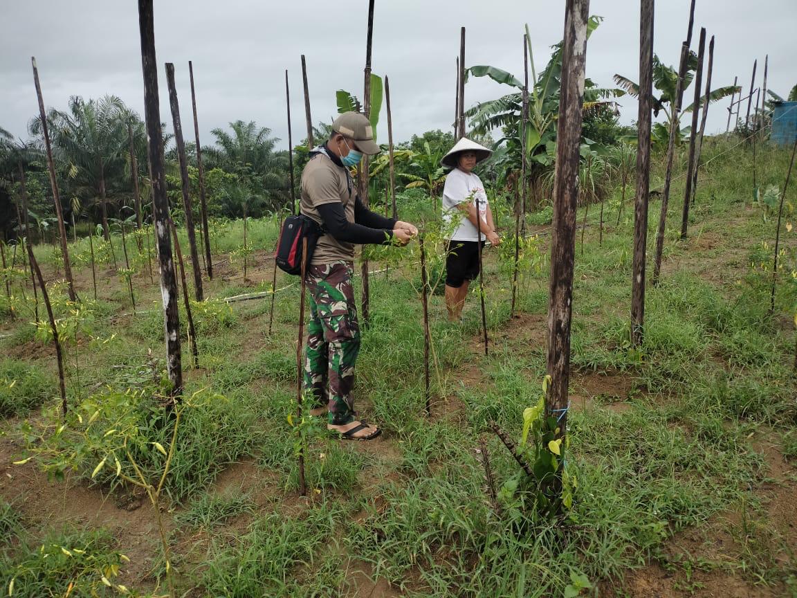 WhatsApp Image 2021-06-21 at 01.29.04