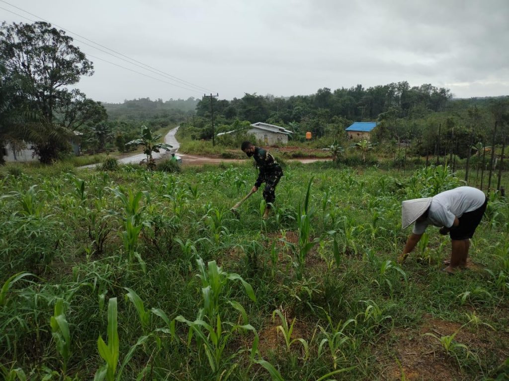 WhatsApp Image 2021-06-21 at 01.29.07