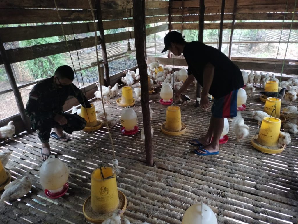 WhatsApp Image 2021-06-21 at 01.29.20