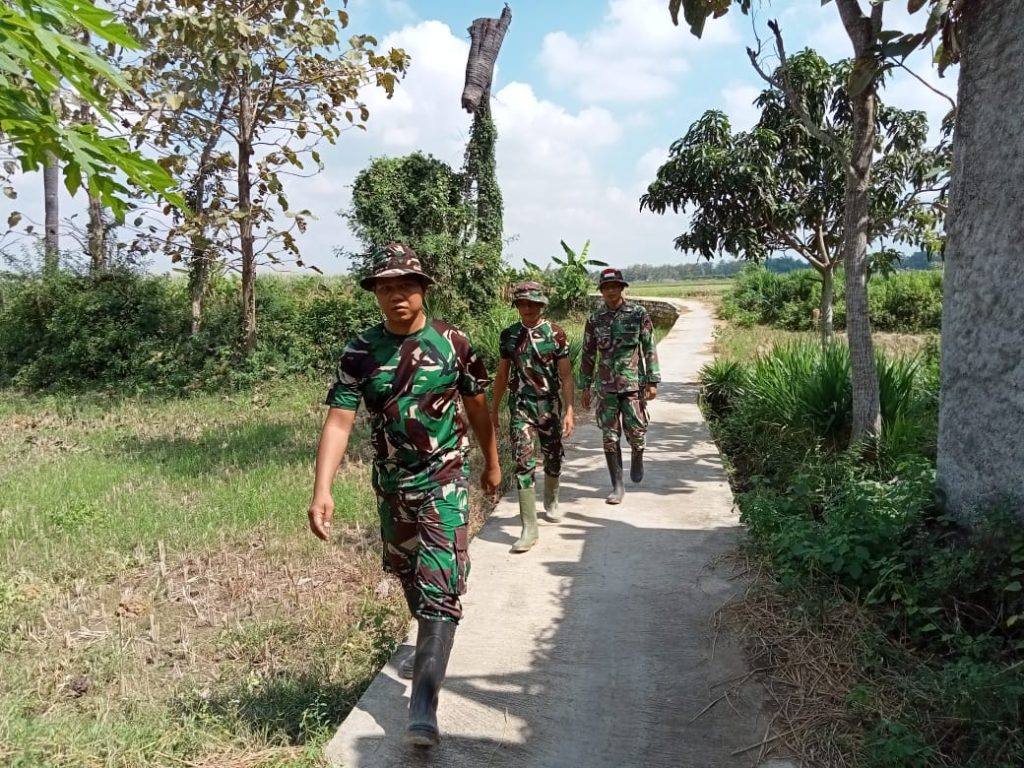 WhatsApp Image 2021-06-21 at 13.58.33