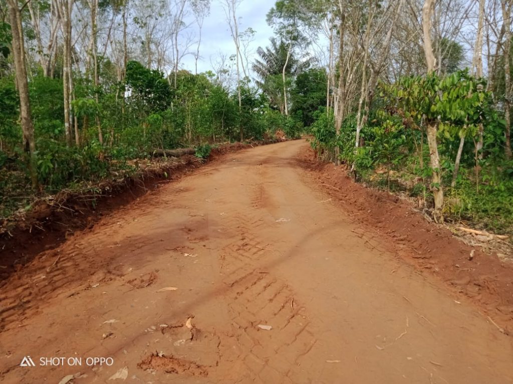 WhatsApp Image 2021-06-21 at 23.53.07