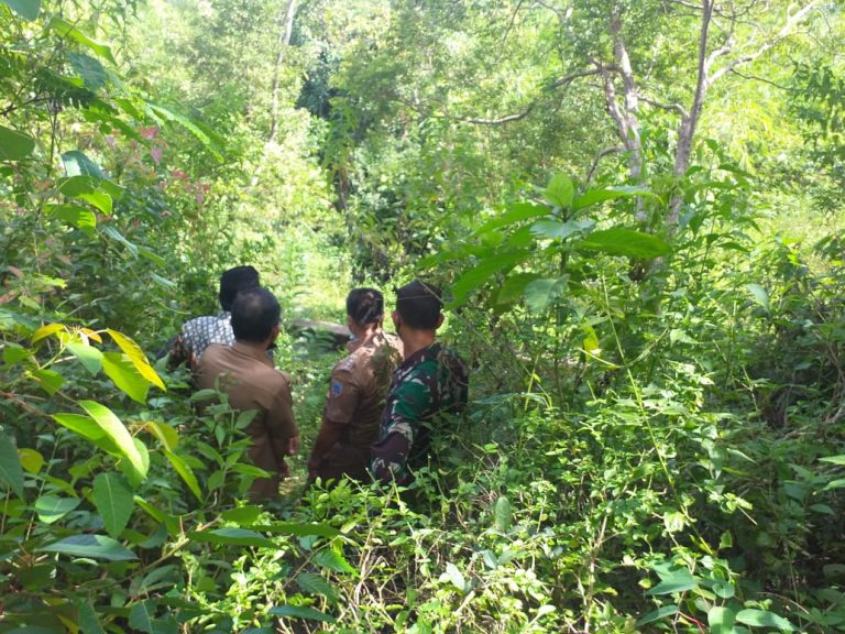 WhatsApp Image 2021-06-22 at 00.57.38