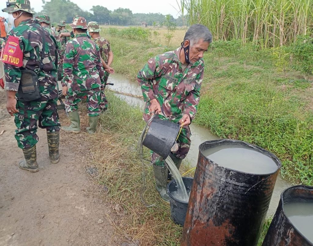 WhatsApp Image 2021-06-22 at 13.56.30