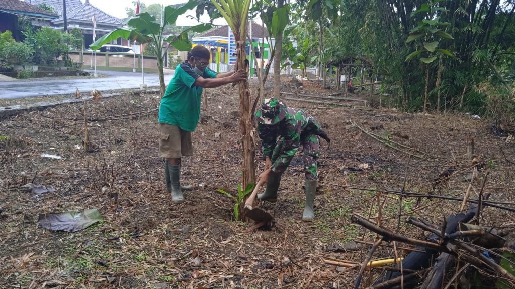 WhatsApp Image 2021-06-23 at 13.28.42