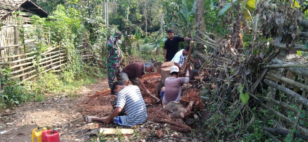 WhatsApp Image 2021-06-24 at 00.26.52