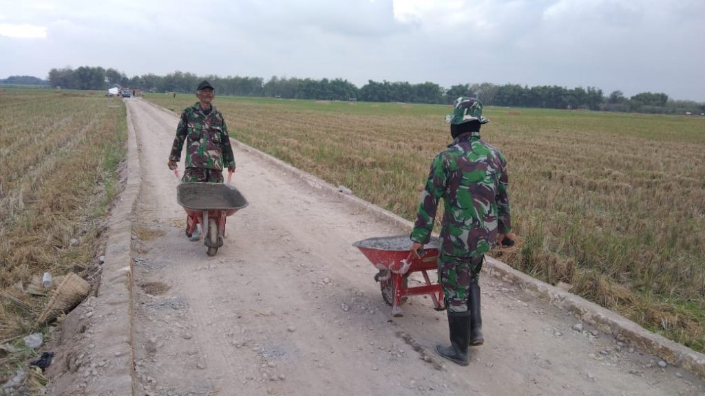 WhatsApp Image 2021-06-25 at 16.08.25