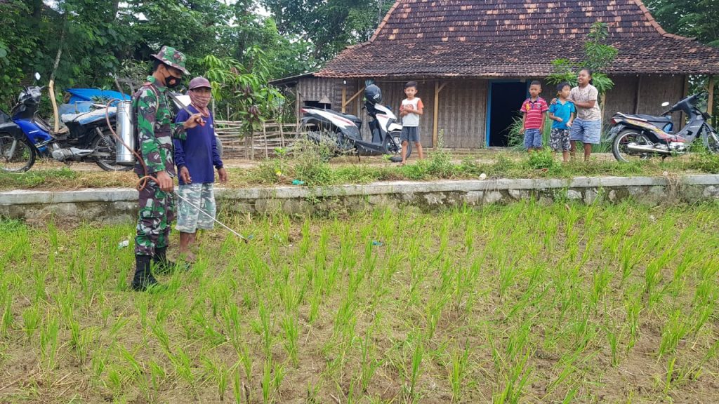 WhatsApp Image 2021-06-25 at 16.09.01