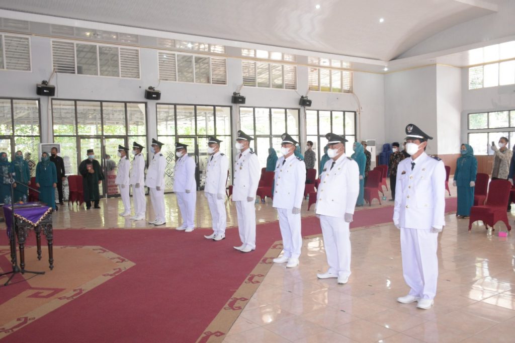 WhatsApp Image 2021-06-25 at 19.38.07