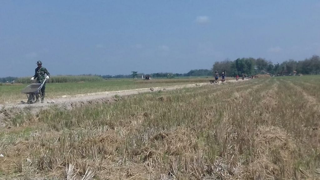 WhatsApp Image 2021-06-26 at 19.30.11