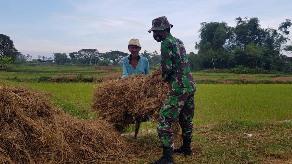 WhatsApp Image 2021-06-26 at 19.31.00