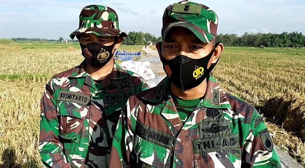 WhatsApp Image 2021-06-26 at 19.31.11