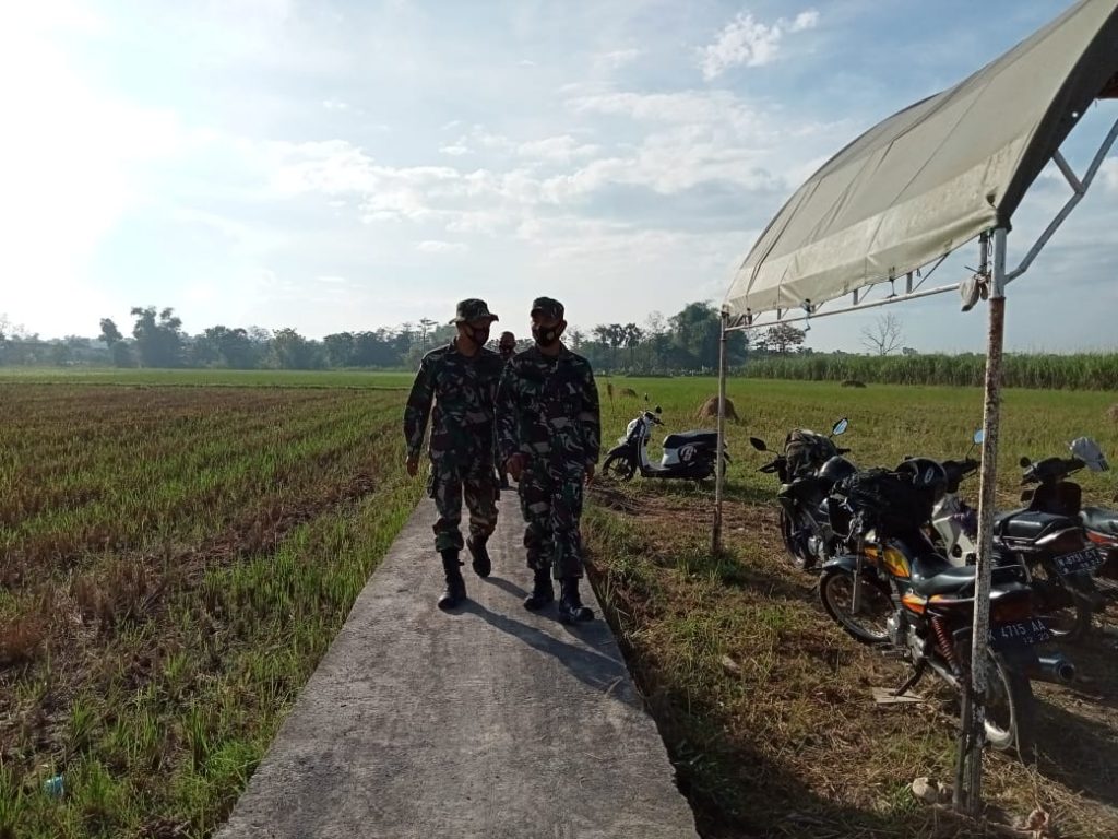 WhatsApp Image 2021-06-26 at 19.31.23