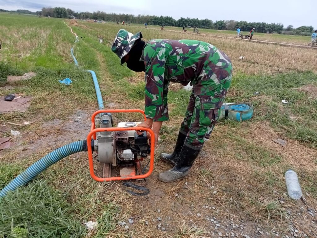 WhatsApp Image 2021-06-27 at 13.57.16