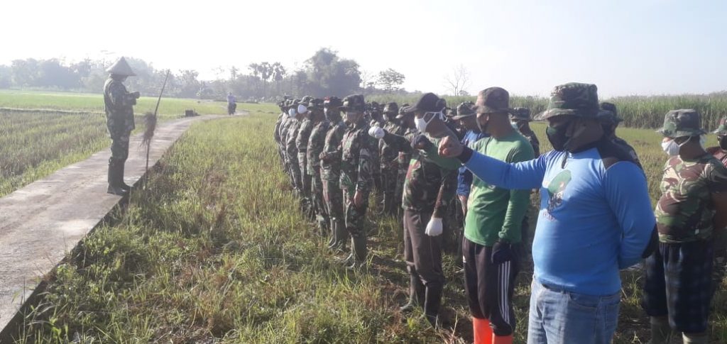 WhatsApp Image 2021-06-27 at 14.05.27