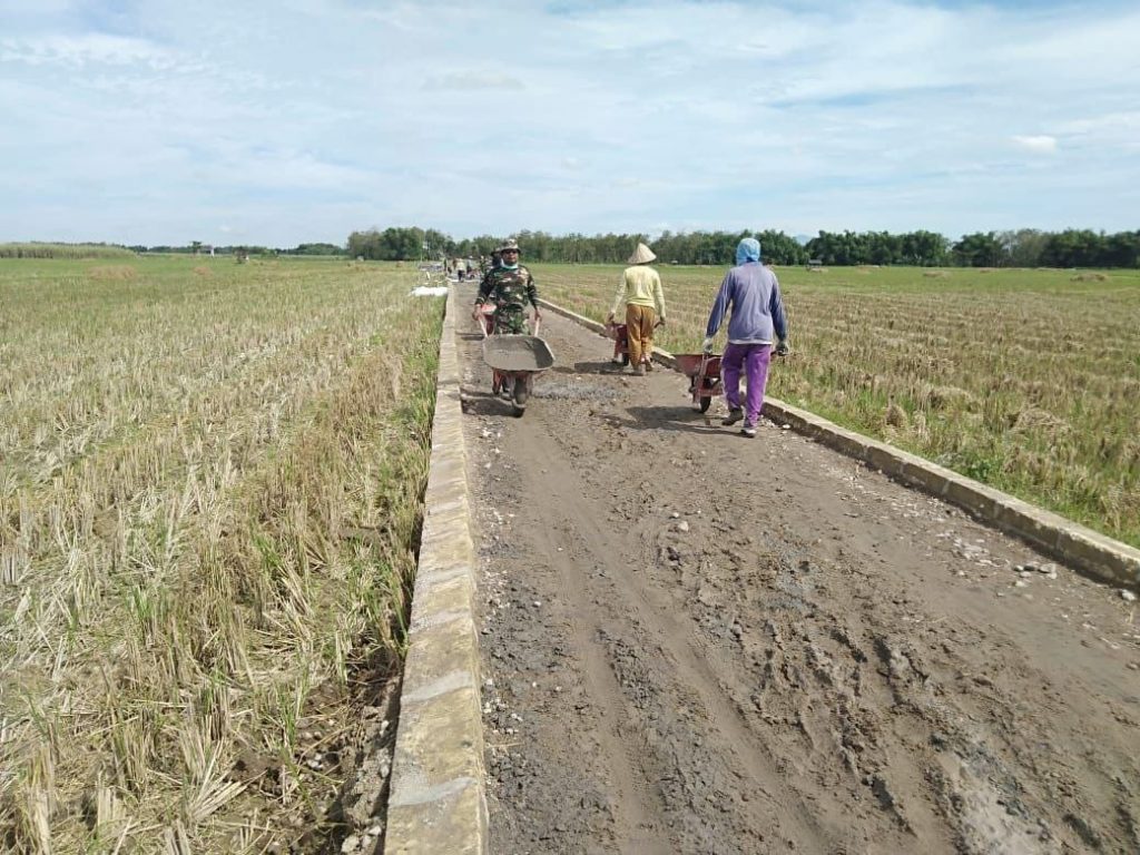 WhatsApp Image 2021-06-27 at 14.06.03