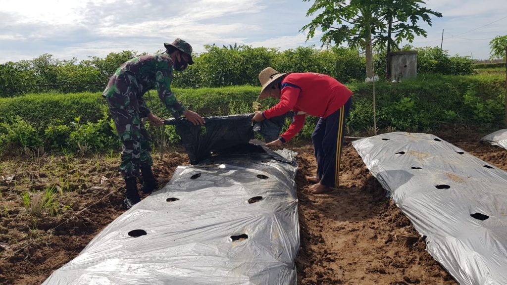 WhatsApp Image 2021-06-28 at 13.52.54