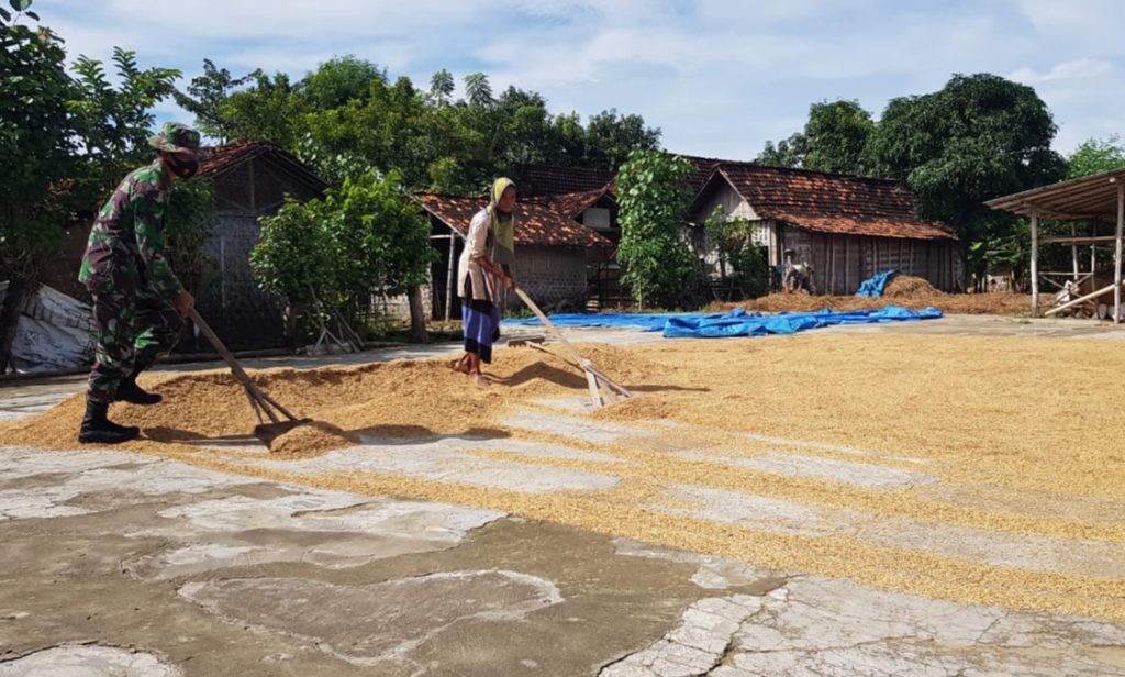 WhatsApp Image 2021-06-28 at 13.52.59