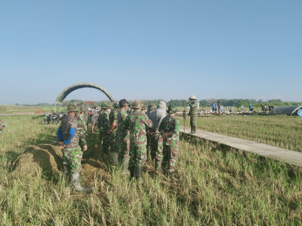 WhatsApp Image 2021-06-28 at 13.53.29