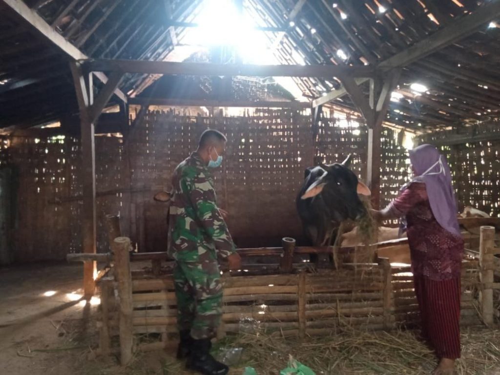 WhatsApp Image 2021-06-28 at 13.54.15