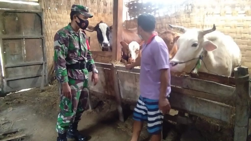 WhatsApp Image 2021-06-28 at 13.54.51