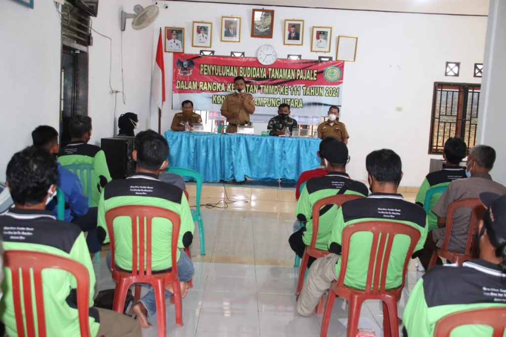 WhatsApp Image 2021-06-28 at 15.04.09