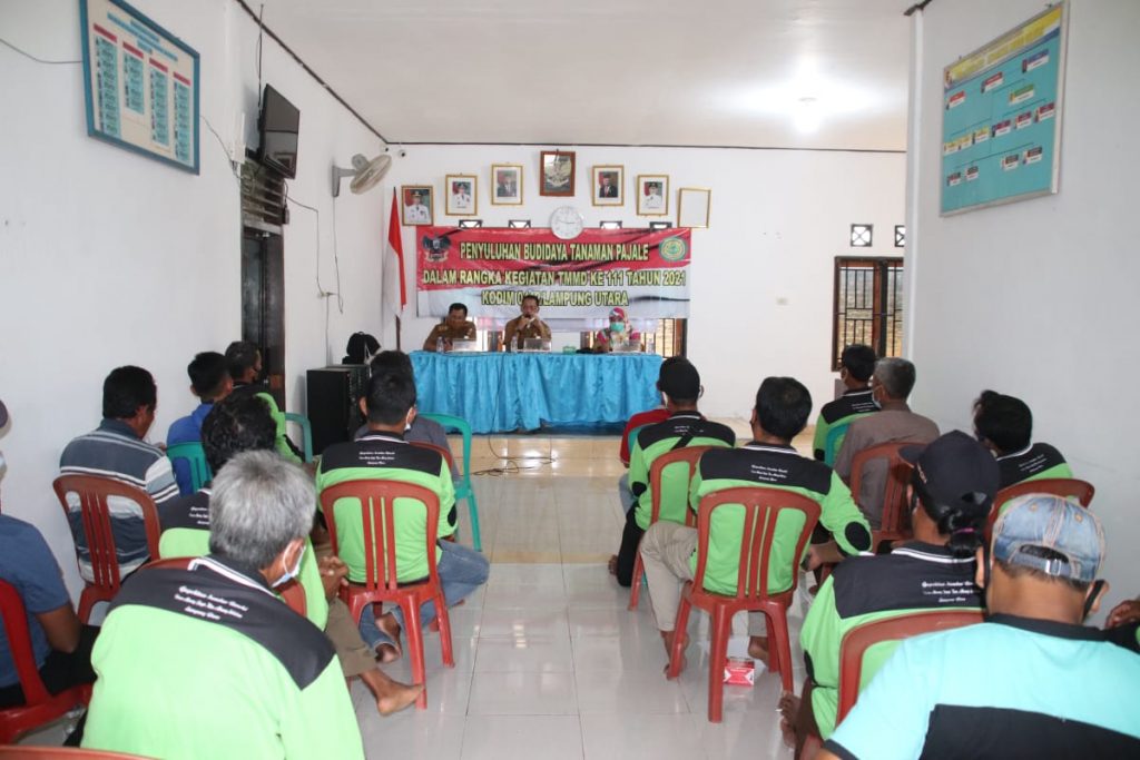 WhatsApp Image 2021-06-28 at 15.06.11