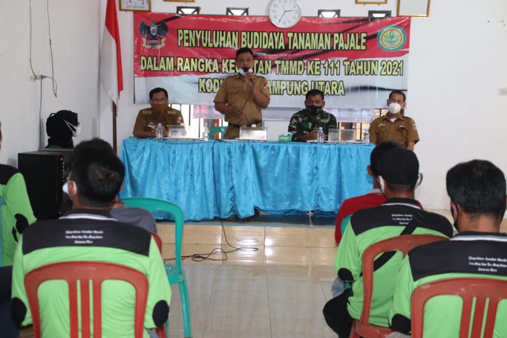 WhatsApp Image 2021-06-28 at 15.07.10