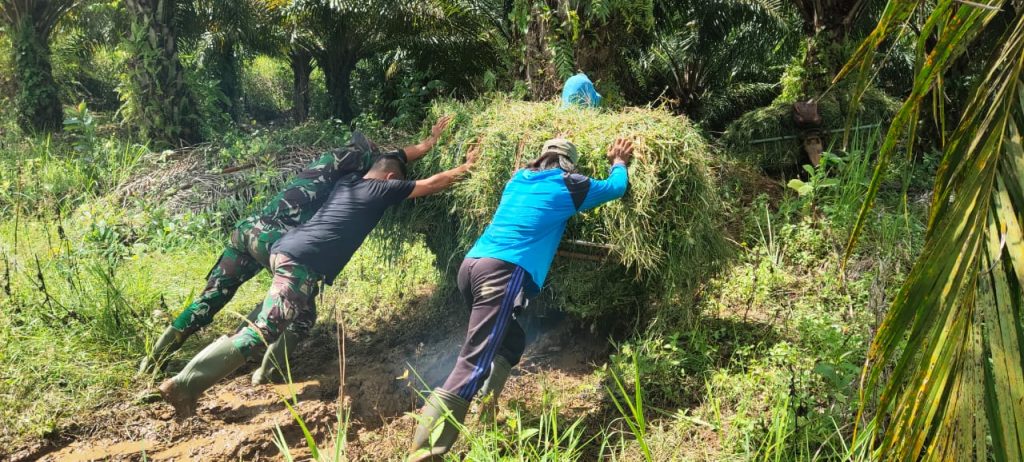 WhatsApp Image 2021-06-28 at 17.47.08