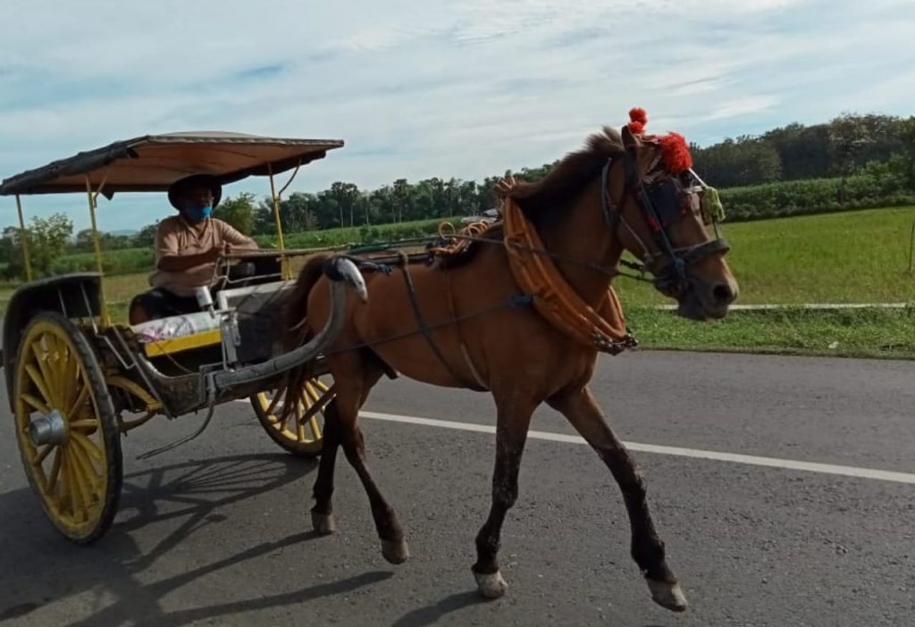 WhatsApp Image 2021-06-29 at 13.11.25